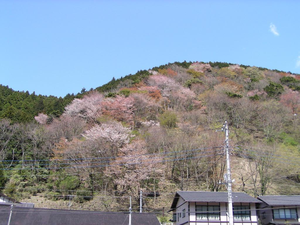 Irorino Yado Sankichi Hotel Izu  Eksteriør billede