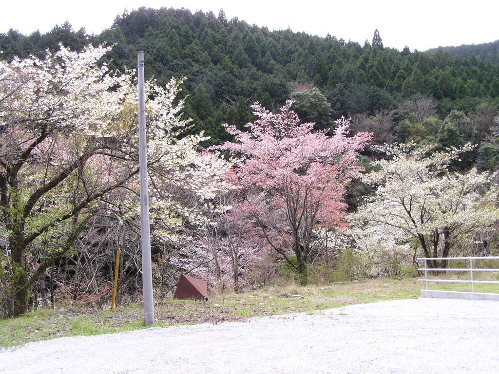 Irorino Yado Sankichi Hotel Izu  Eksteriør billede